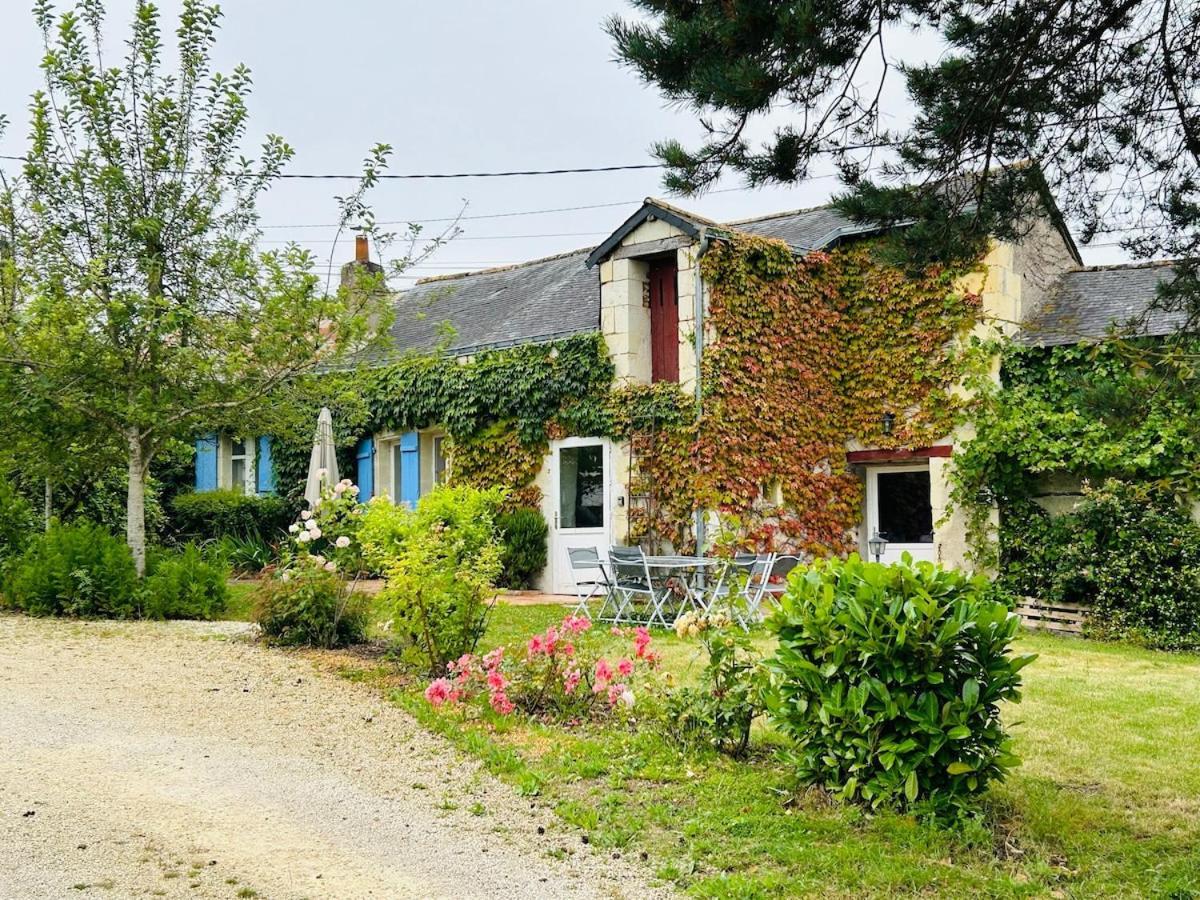 Gite Les Jardins De Terrefort Saumur Buitenkant foto
